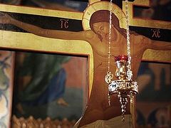 The 'Arab Spring' and the Christian Nightmare