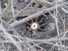 Mortar fallen near a church in the Lugansk region did not explode
