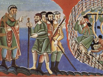 Виноградник