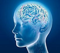 Russian Orthodox Church urges scientists to use discoveries of Christian ascetics in psychiatry