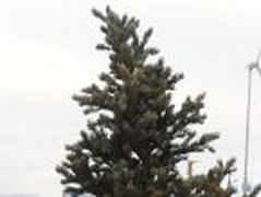 Orthodox Christmas melds Yup'ik and religious traditions