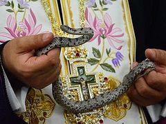 (Photos and Video) Virgin Mary’s Snakes Appear Again in Tiny Kefallonia Church