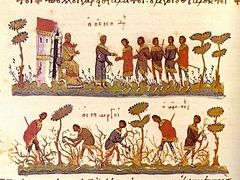 Homily on the Parable of the Vineyard
