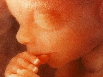 Сенат США отклонил законопроект, запрещающий аборты после 20-й недели беременности