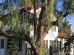 Announcing the Antiochian Orthodox Christian Institute