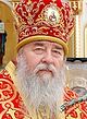«Господь прижал меня к своему сердцу…» <BR>Из воспоминаний митрополита Днепропетровского и Павлоградского Иринея о своем детстве