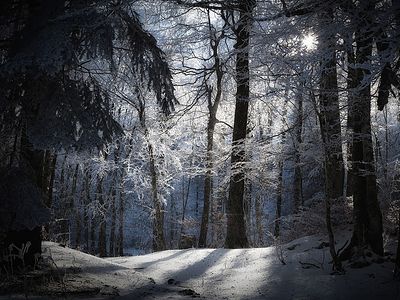 Сказка о лунном лучике