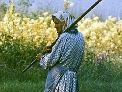 Крысы, карточки и Промысл Божий