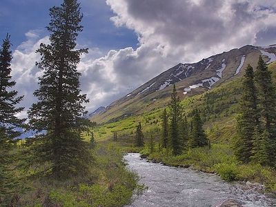 Travellers from Ryazan are investigating the Orthodox heritage of Russian America in Alaska