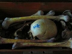 Researchers find lost relics of Athonite elder Anikita
