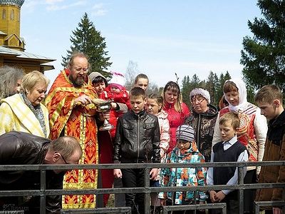 1 мая на родине Святителя Николая Японского была посажена аллея сакуры