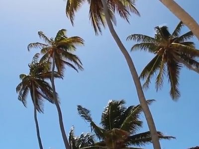 The Heir to the Byzantine Throne in Barbados (VIDEO)
