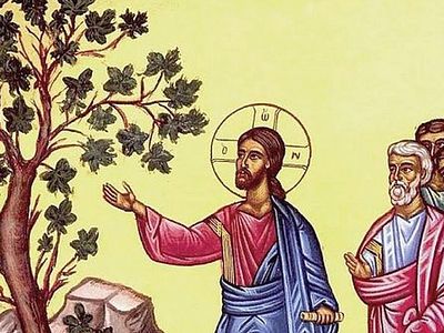 Пора плодоношения