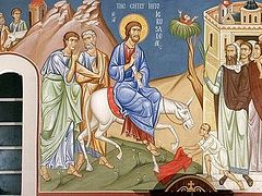 On Palm Sunday