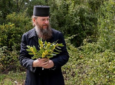 Афонские старцы о ложных духовных ступенях