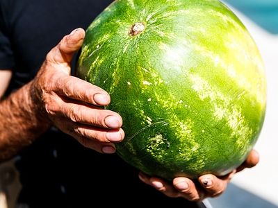 Крёстная