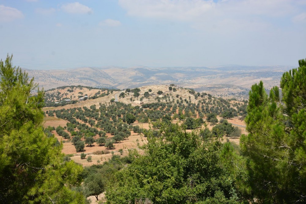 Вид с холма пророка Илии