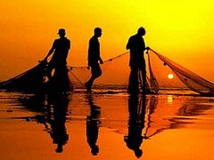 When You Can’t Catch Fish