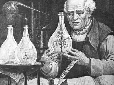 Происхождение глупости