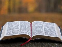 Protodeacon Feldman’s Old Testament