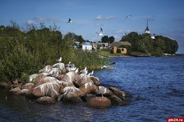 Фото Остров Псковская