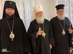Greek Metropolitan Nektarios of Corfu: We recognize only the canonical Ukrainian Church (+ VIDEO)