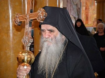 Иерарх Сербской Православной Церкви: Только Всеправославный Собор может решить насущные церковные проблемы