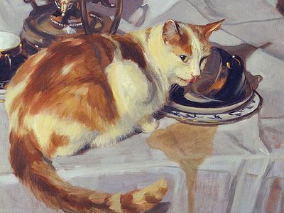 Кошкин дом