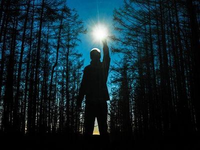 Шестьдесят третья работает на отклик