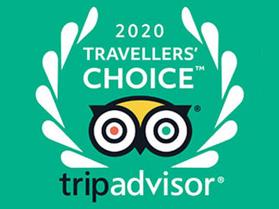 Проект «Россия-Моя история» получил престижную награду Travellers’ Choice 2020