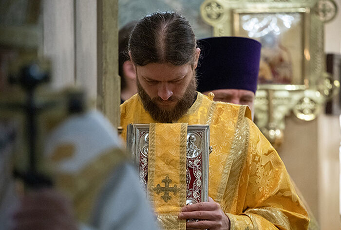 Помощь батюшки. Батюшка подобрал. Дьяконов Дмитрий Церковь хлеб жизни. Проверка в церкви хлеб. Священник который подбирает котиков.