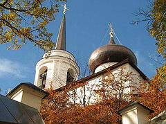 “We Spiritually Grew Up Under the Elders”