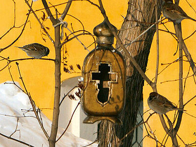 И радости вашей никто не отнимет