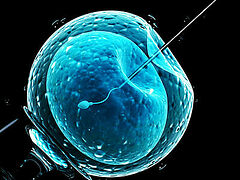 Russian Church reexamining stance on IVF in light of medical advances