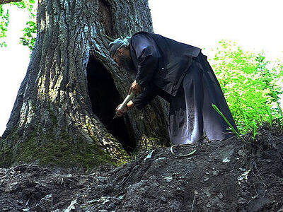 В Псково-Печерском монастыре монахи спасают один из старейших дубов России