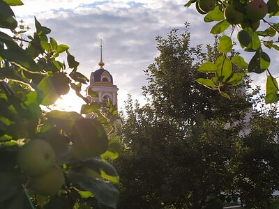 Птички преподобного Сергия