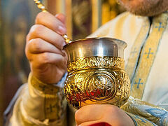 Finnish Church to appeal to Constantinople about gluten-free Eucharist for celiacs