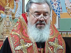 Moldovan hierarch excommunicates those who voted for Istanbul Convention