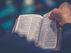 Testimony of the Scriptures