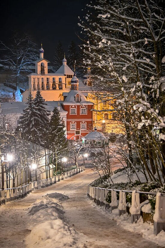 Псково печерский монастырь зимой фото