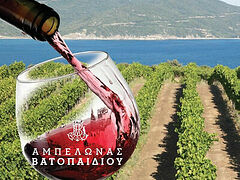 Vatopedi Monastery wines take home awards at Greek taste contest