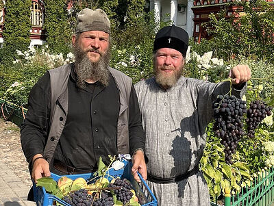 В Псково-Печерском монастыре собрали первый виноград урожая 2022 г