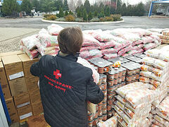 В Ростовской епархии раздадут 8 тонн продуктовых наборов беженцам. Информационная сводка о помощи беженцам (от 22 ноября 2022 года)