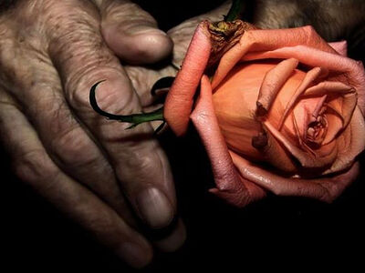 Старик и розы