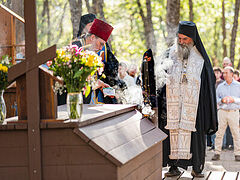 “I Can’t Stop Speaking About Fr. Seraphim!” (+VIDEO)