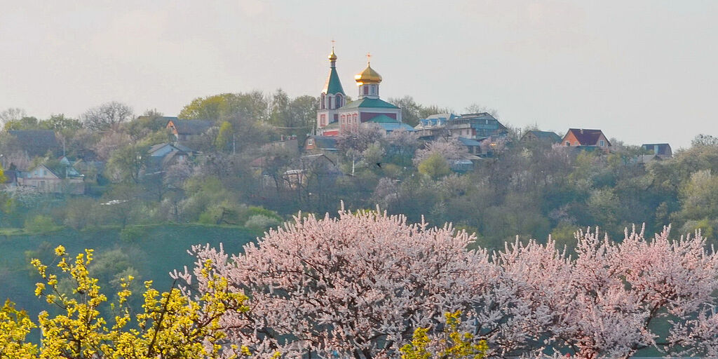 Вышгород украина фото города