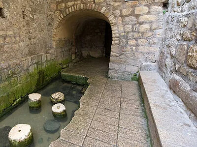 Раскопаны еще 8 ступеней Силоамской купальни, у которой Спаситель исцелил слепорожденного