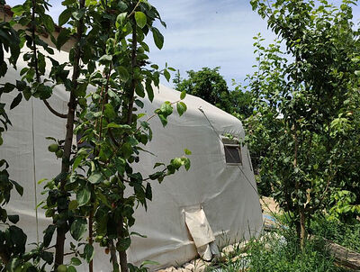 152 стирки провели в церковной благотворительной прачечной в Лисичанске за месяц. Информационная сводка о помощи беженцам (от 11 июня 2024 года)