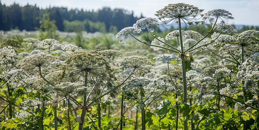 Γιατί να μετανοώ, αφού ξέρω ότι θα αμαρτήσω ξανά