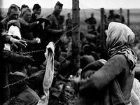 The seeds of kindness planted by a Russian woman that sprouted Germany